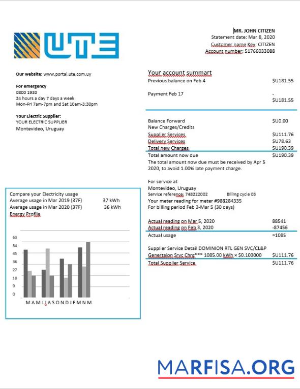 Downloadable Uruguay UTE electricity bill in Word format real example